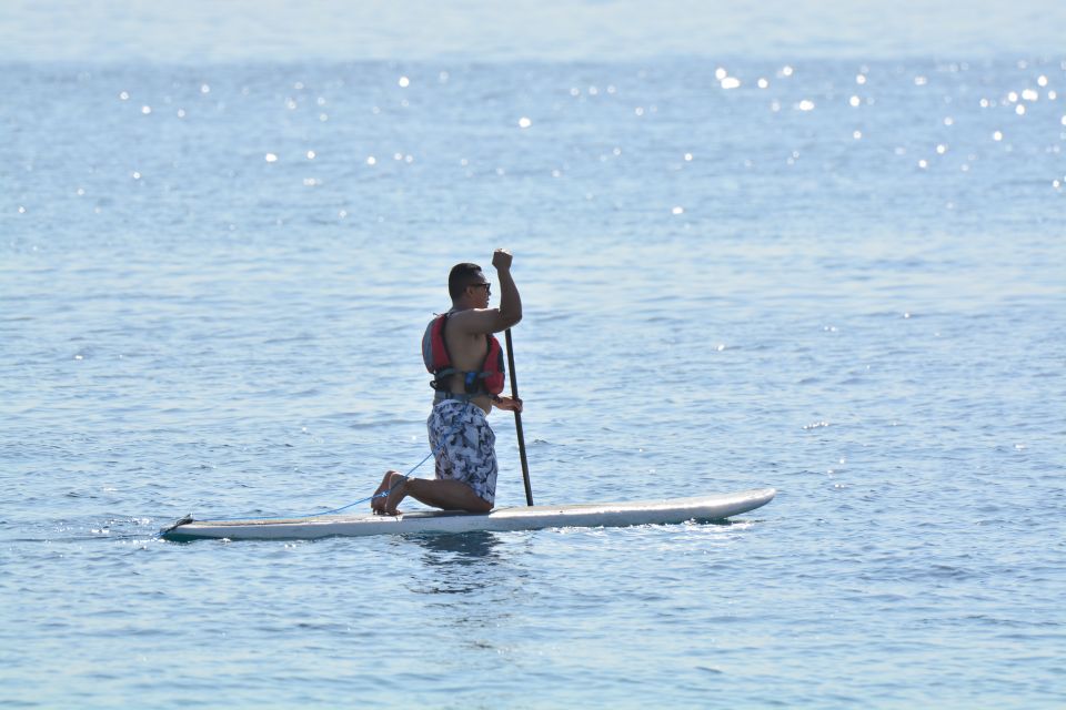 3-Hour Stand up Paddle and Snorkel at Los Cabos - Frequently Asked Questions