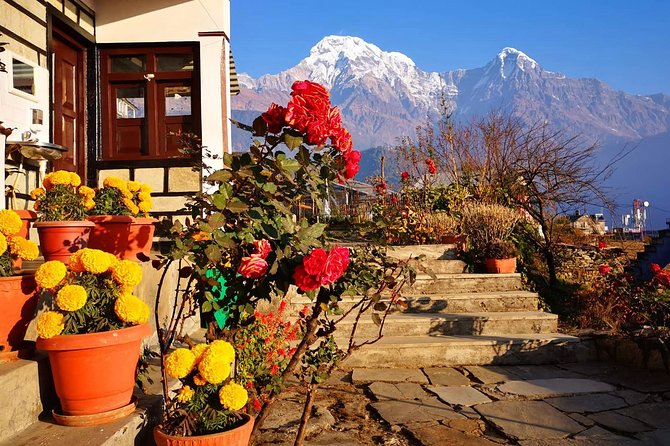 4-Day Private Poon Hill Trekking Tour - Meals and Beverages