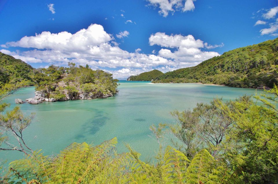 Abel Tasman National Park Cruise and Walking Tour Combo - Frequently Asked Questions