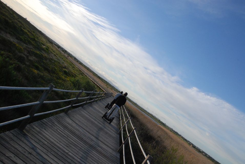 Albufeira: Salgados Nature Reserve Segway Tour - Wildlife Spotting