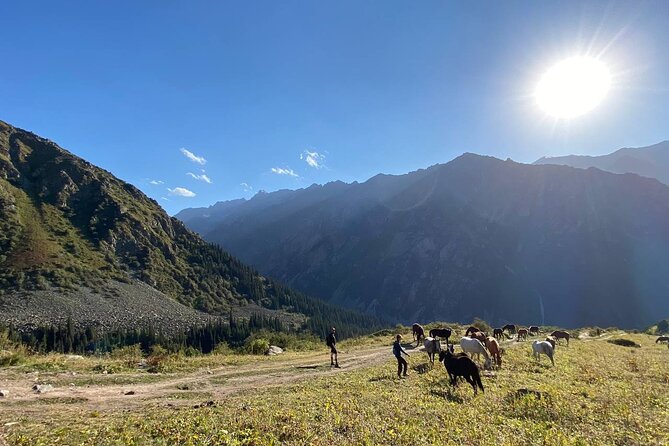 All in One-Day: Bishkek City Tour and Ala-Archa National Park - Hiking Challenges