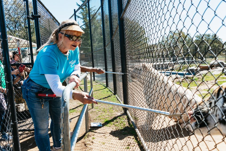 Alpine: Lions Tigers & Bears Sanctuary Visit and Feeding - Sanctuary Experiences