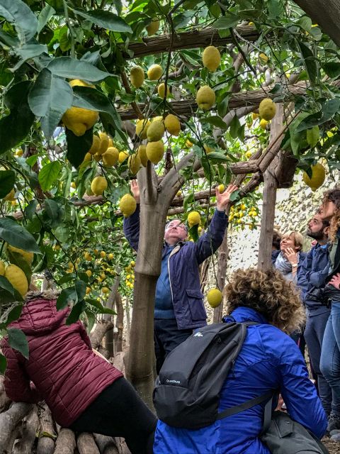 Amalfi Coast Path of the Lemon Private Walking Tour - Inclusions and Exclusions