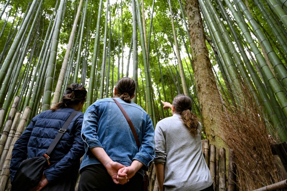 Arashiyama: Bamboo Grove and Temple Tour - Encountering Monkey Park Iwatayama