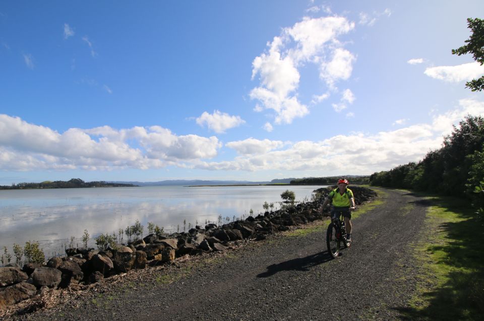 Auckland Half-Day Ebike Tour Excursion - Customer Review