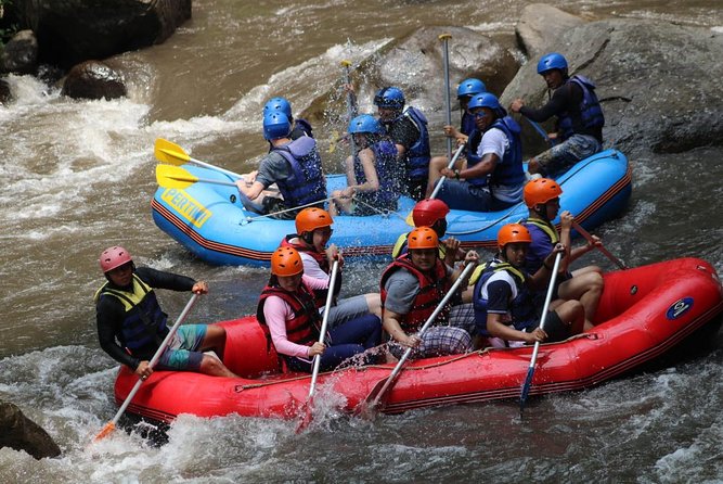 Ayung River Rafting All Inclusive Ticket - Booking Information and Tips