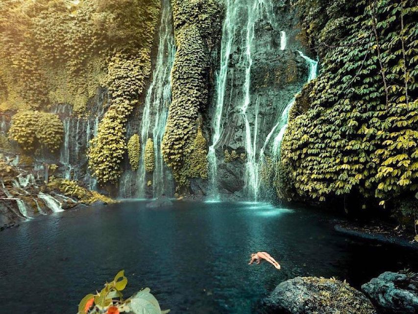 Bali : Best North Bali Highlights Tour Waterfall & Temple - Frequently Asked Questions