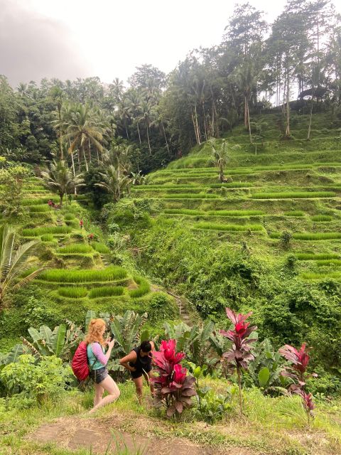 Bali Best of Ubud Surrounding Tour With Barong & Keris Dance - Suwat Waterfall