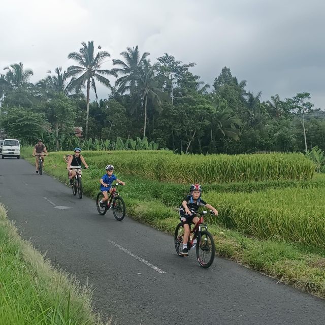 Bali Natural Downhill Cycling Tour and Visit Batur Volcano - Suitability and Restrictions