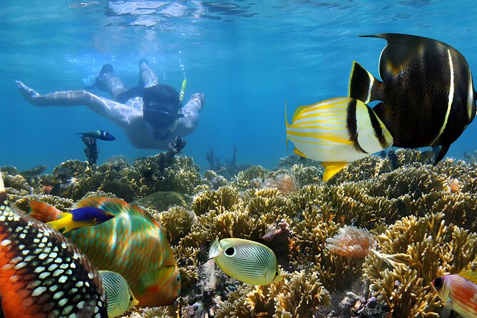 Bali Water Sport Jumbo Packages - Tips for Enjoying Your Experience
