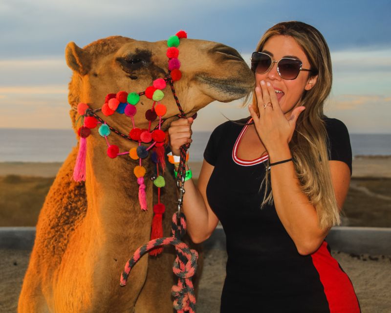 Beach Camel Ride & Encounter in Cabo by Cactus Tours Park - Tequila Tasting and Souvenirs