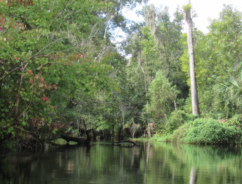 Blackwater Creek: Exclusive Nature Escape Kayak Adventure - Logistics and Inclusions