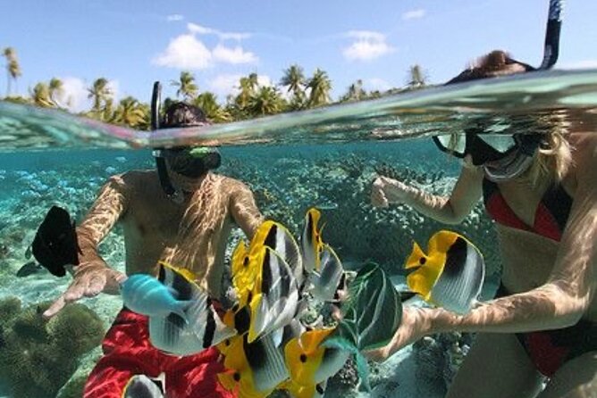 Blue Lagoon Snorkeling - Lunch - Kantolampo - Tibumana Waterfall - Cancellation and Refund Policy