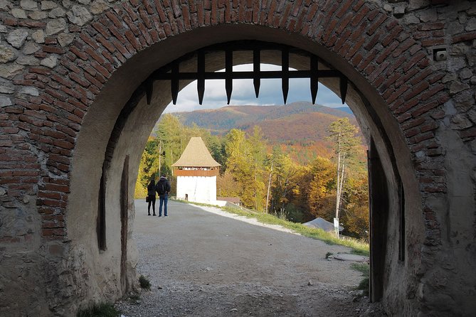 Bran Castle and Rasnov Fortress Tour From Brasov With Entrance Fees Included - Optional Peles Castle Visit - Dining and Shopping Options