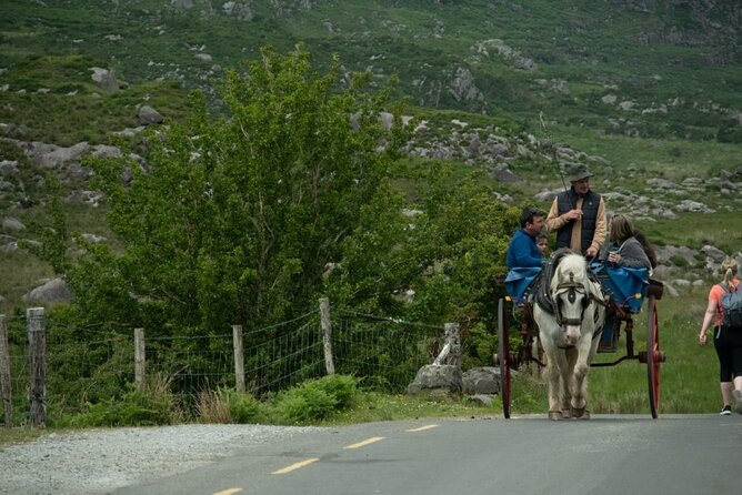 Bus, Boat & Jaunting Cart Tour (Jaunting Cart Paid Separately) - Reviews and Accolades