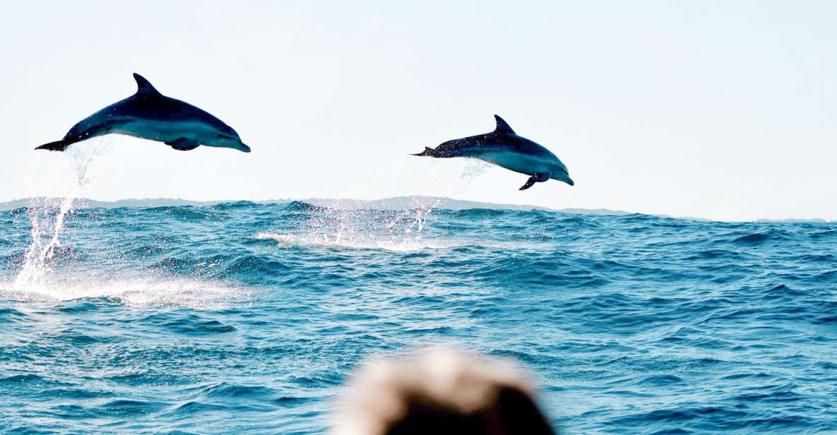 Byron Bay: Cruise With Dolphins Tour - Frequently Asked Questions