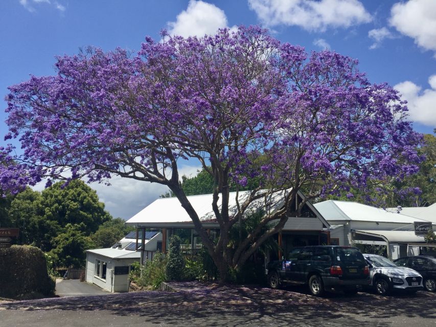 Byron Bay: Hinterland and Bangalow Full-Day Guided Tour - Booking and Pickup Information