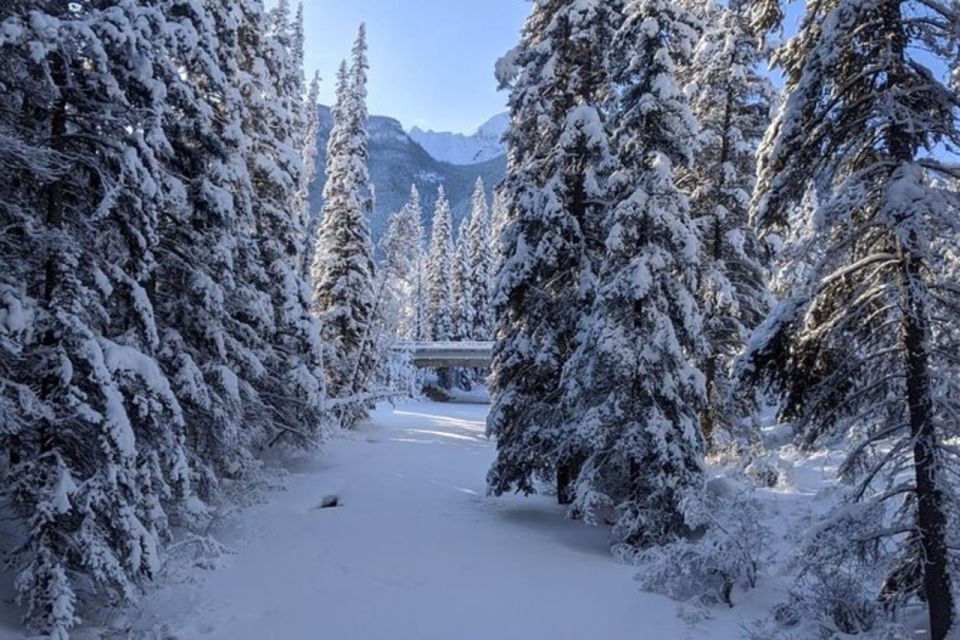 Canadian Rockies Vancouver,Chase,Banff,Golden4 Days Private - Booking and Cancellation Policy