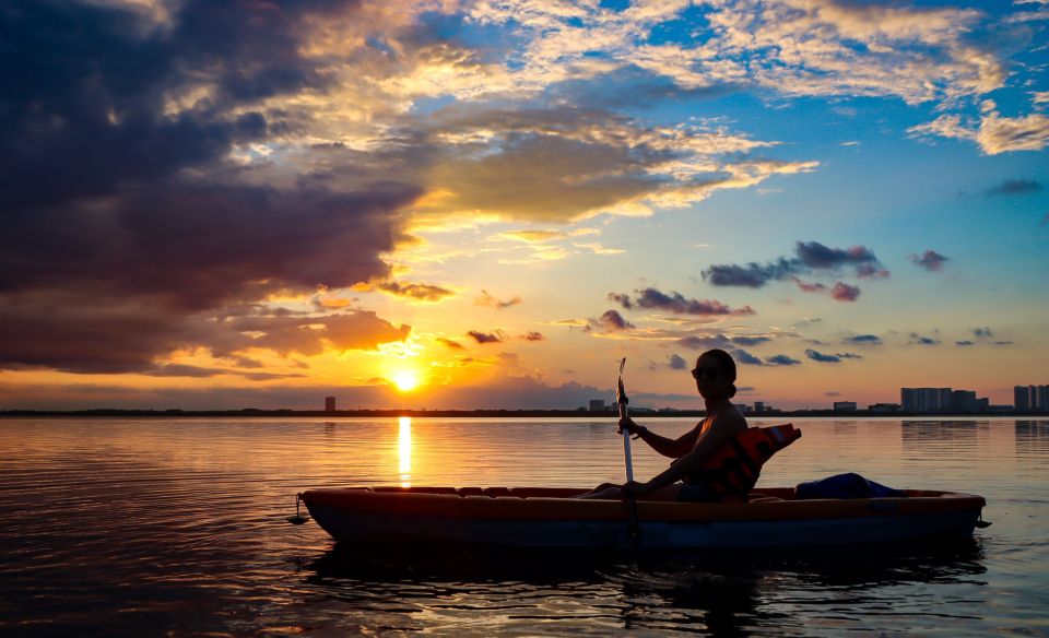 Cancun: Sunset Kayak Experience in the Mangroves - Explore Mangroves and Wildlife