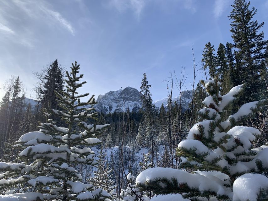 Canmore: Wilderness and Wildlife - Hiking Tours - About the Guides