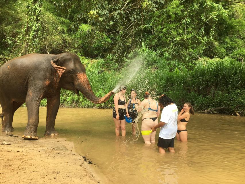 Chiang Mai: 2-Day Jungle Trek With Elephant Farm & Raft Ride - Important Considerations