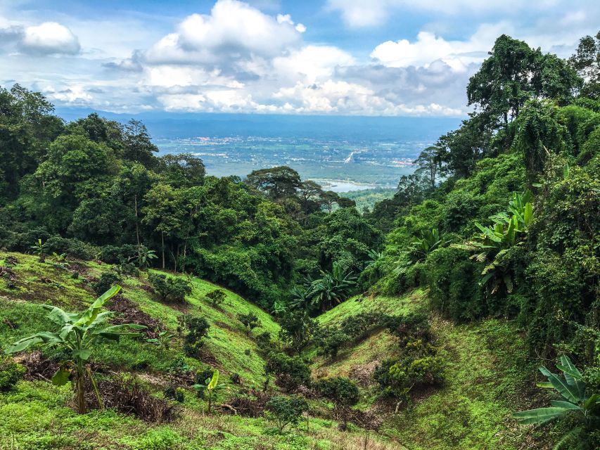 Chiang Mai: 20km Downhill Mountain Biking Challenge Suthep Mountain - Requirements and Highlights