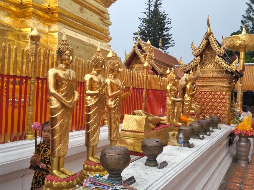 Chiang Mai: 7-Hour Doi Suthep National Park Summit Hiking - Inclusions and Important Information