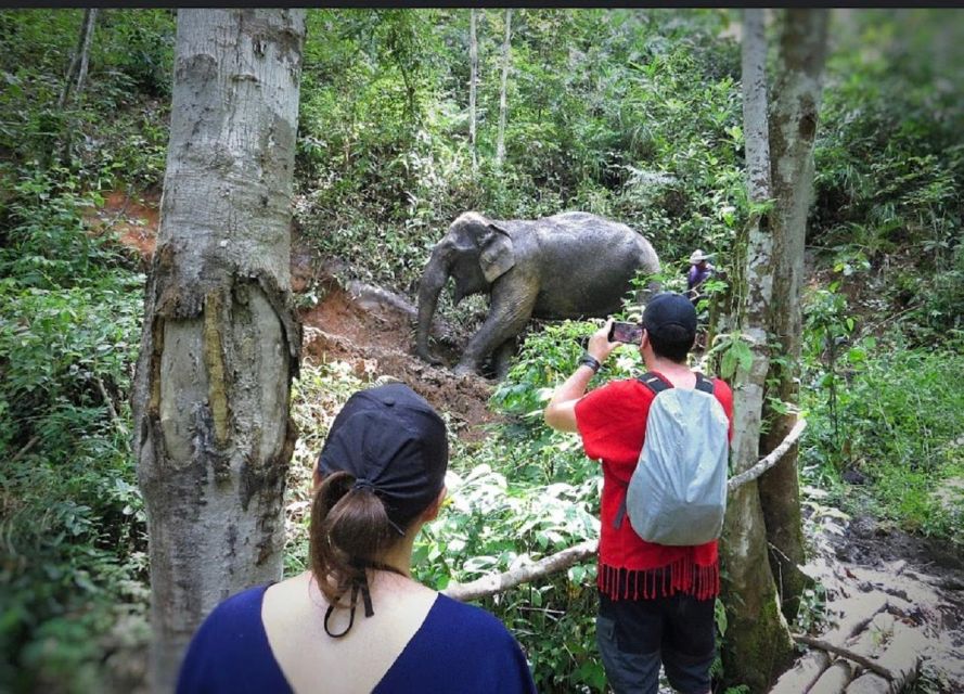 Chiang Mai :Doi Inthanon Explore &Ethical Elephant Sanctuary - Wachirathan Waterfall