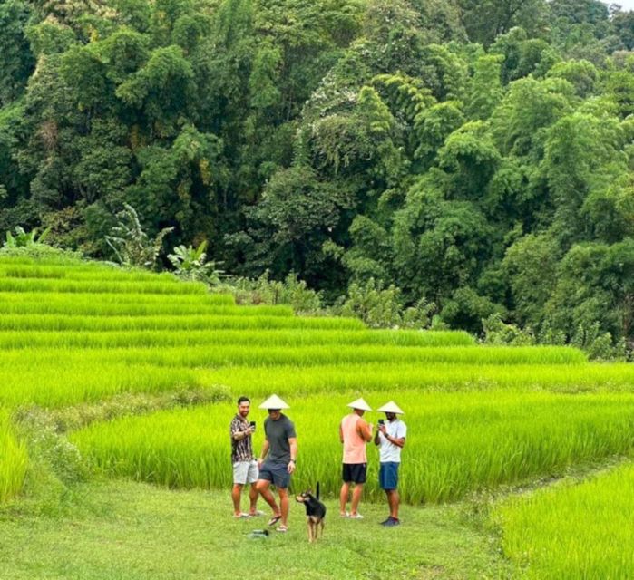 Chiang Mai: Doi Inthanon Park and Pha Dok Siew Trail Trek - Pha Dok Siew Nature Trail