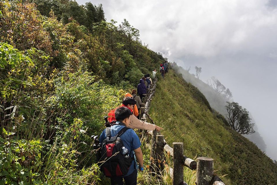 Chiang Mai: Doi Inthanon Park Day Trip With Kiw Mae Pan Hike - Visiting Hmong Hill Tribe Market