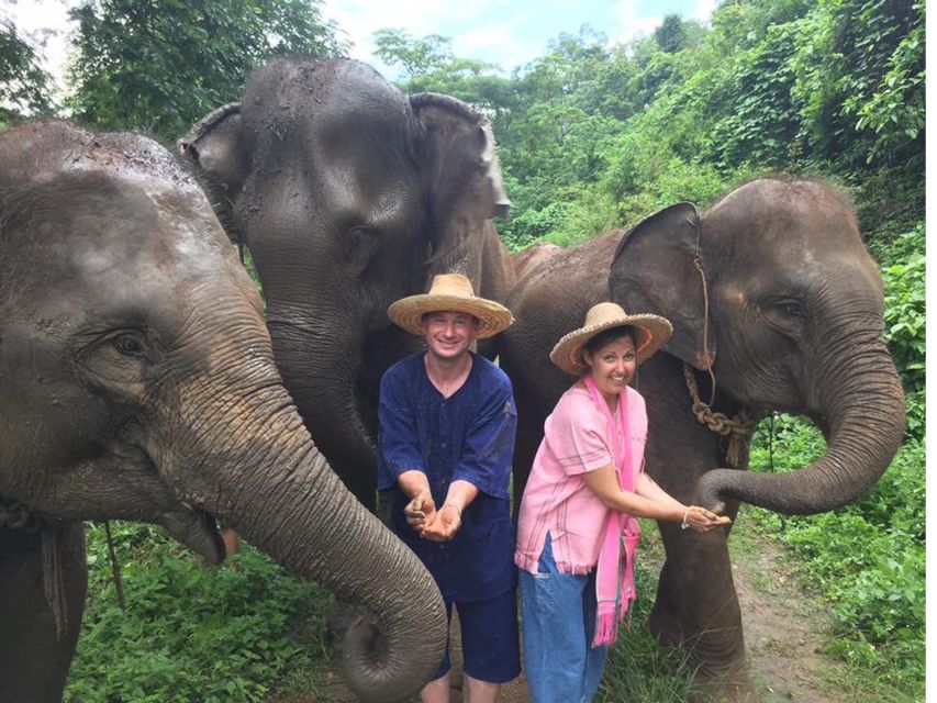 Chiang Mai: Doi Suthep Temple & Elephant Sanctuary Day Trip - Pricing and Reservations