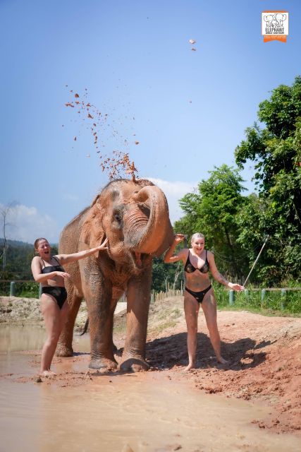 Chiang Mai: Elephant Jungle Sanctuary With Lunch & Transfer - Frequently Asked Questions