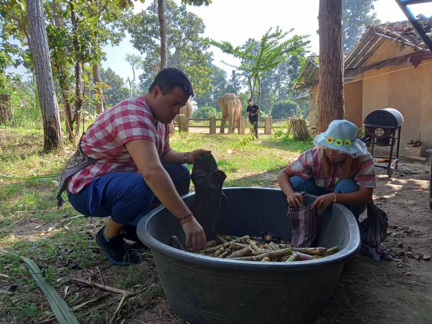 Chiang Mai: Elephant Sanctuary Guided Tour in English - Important Considerations