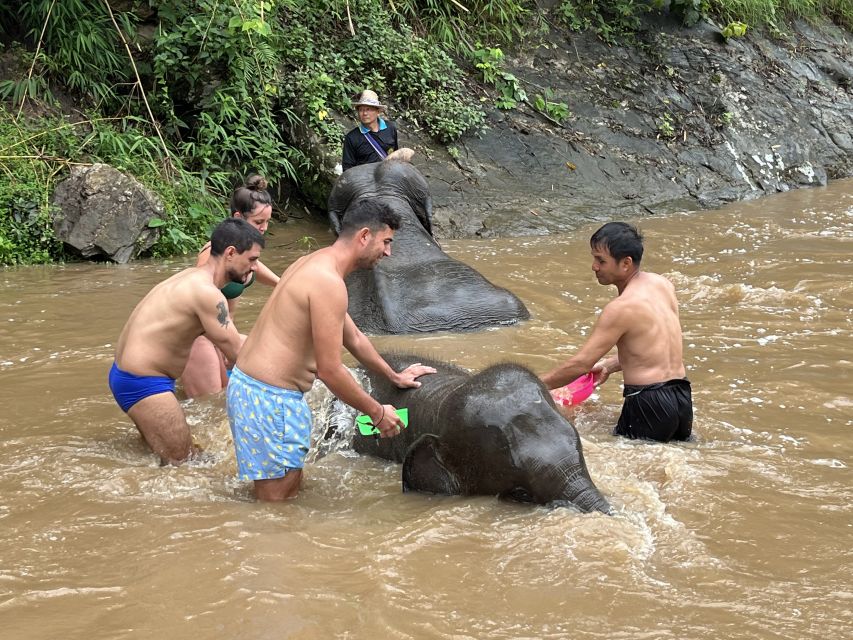 Chiang Mai: Elephant Sanctuary & Waterfall Group Tour - Frequently Asked Questions