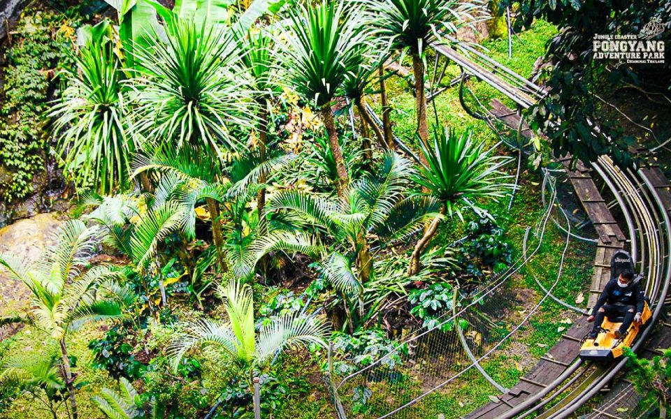 Chiang Mai: Pongyang Jungle Coaster & Zipline - Reserving and Paying for the Experience