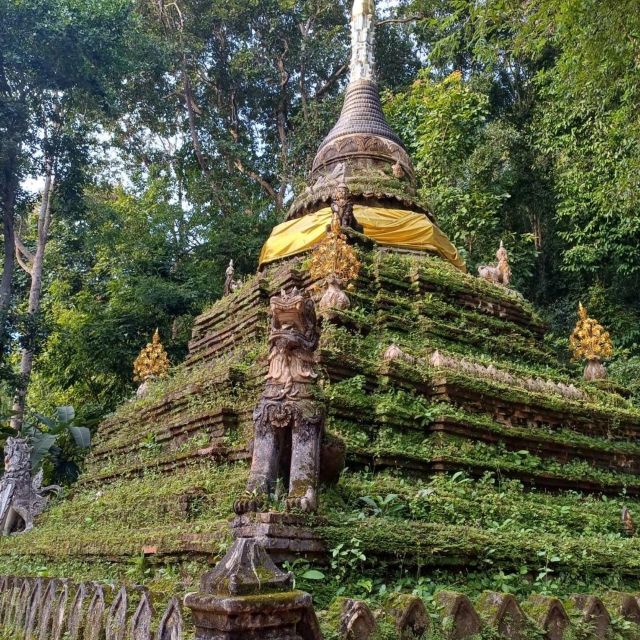 Chiang Mai Sunset Point, Wat Pha Lat, Wat Doi Suthep, Wat Umong - Pricing and Booking