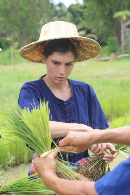 Chiang Mai: Thai Buffalo and Rice Planting Experience - Meeting Point and Directions