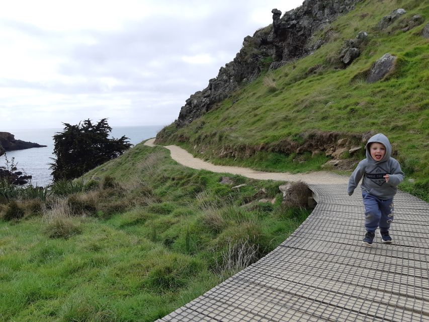 Christchurch: Godley Head & Lyttelton Guided Walking Tour - What to Bring