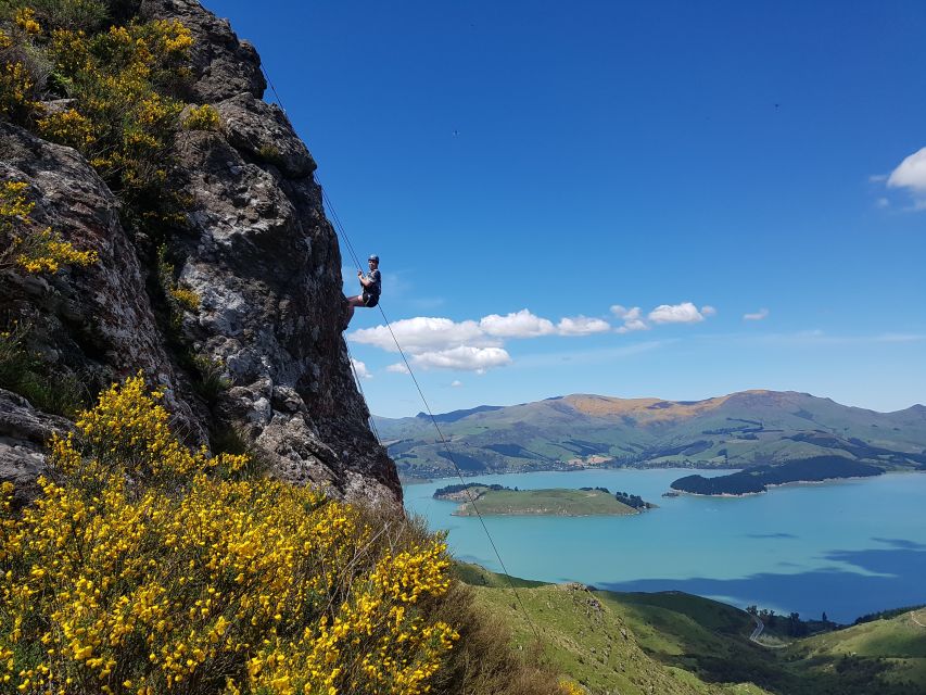 Christchurch: Rock Climbing With Guide, Lunch, and Transport - Customer Reviews