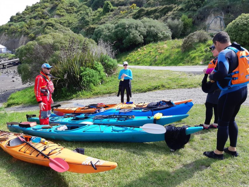 Christchurch: Sea Kayaking Tour of Lyttelton Harbour - Island Exploration and Lunch