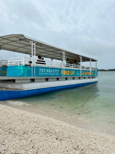 Clearwater Beach: Dolphin and Island Sandbar Boat Tour - Boat Cruise Along the Gulf