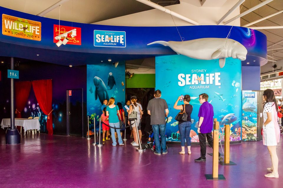 Combo Attraction Pass: Sydney Tower Eye, Sea Life & More - Recap