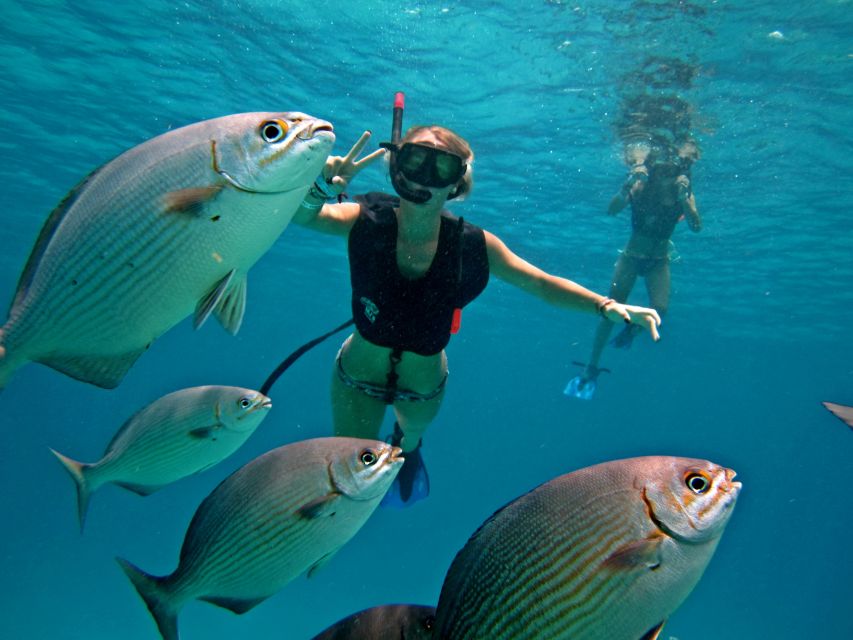 Cozumel: Snorkeling Trip to 3 Reefs by Boat - Booking and Contact Information