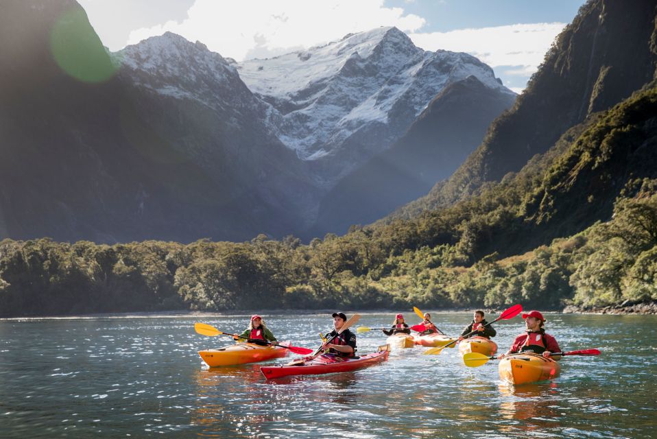 Cruise & Kayak Milford Sound - Kayaking in Harrison Cove