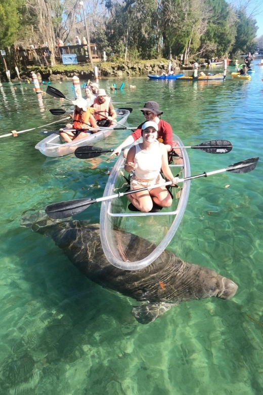 Crystal River: Springs and Manatees Clear Kayak Tour - Optional Photo Package