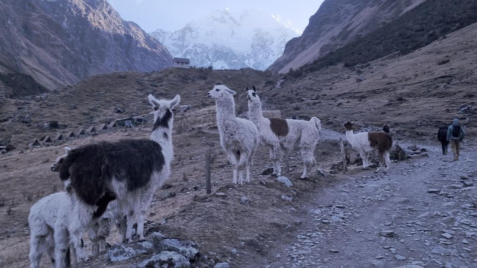 Cusco 3 Days: Humantay Lake, Machu Picchu & Rainbow Mountain - Considerations for Visitors