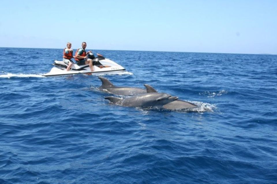 Destin: Crab Island Dolphin Watching Jet Ski Tour - Frequently Asked Questions