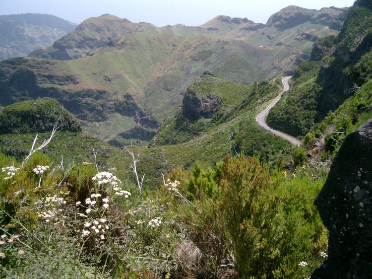 Discover Madeira: Full-Day Tour to Porto Moniz - Pickup Locations and Languages