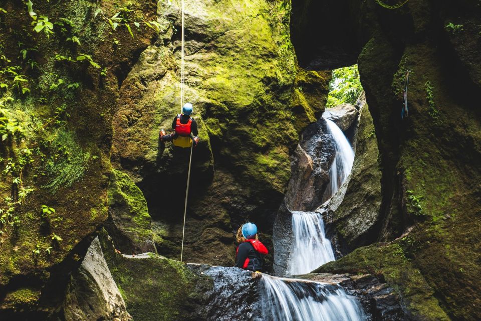 Dominica Hiking Adventures - Eco-friendly Exploration and Nature Encounters