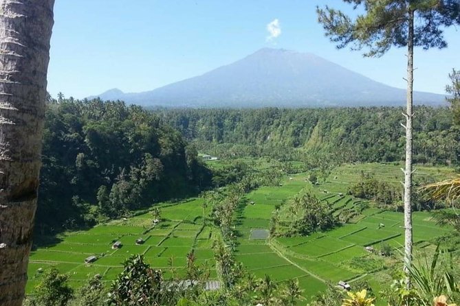 East Bali Lempuyang Tirta Gangga Water Palace Private Guided Tour - Customization Options